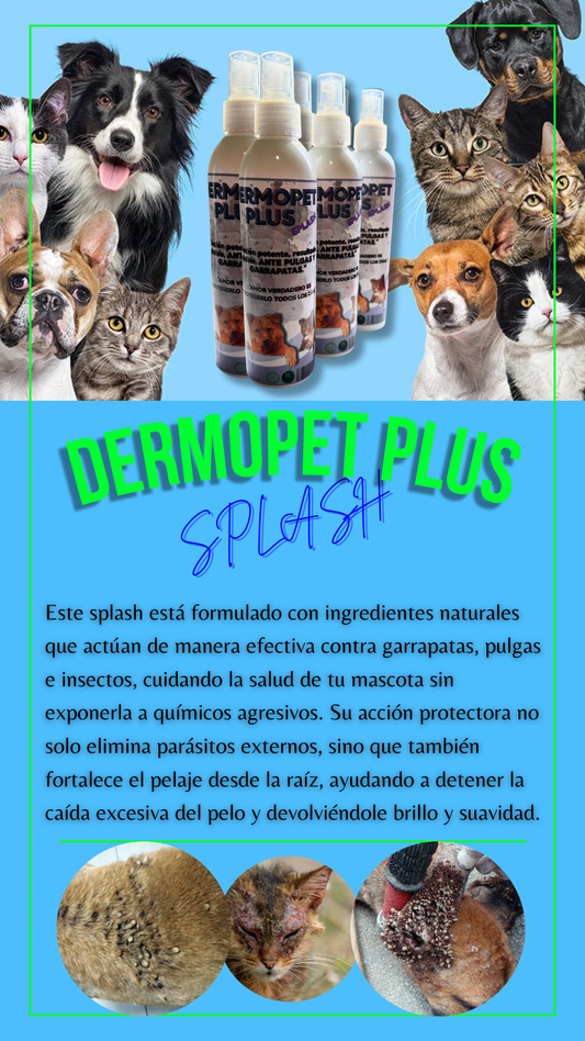 DERMOPET PLUS SPLASH - MEGAOFERTA